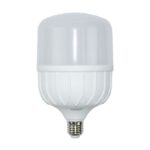 Led Eco H Power 40W 6500K